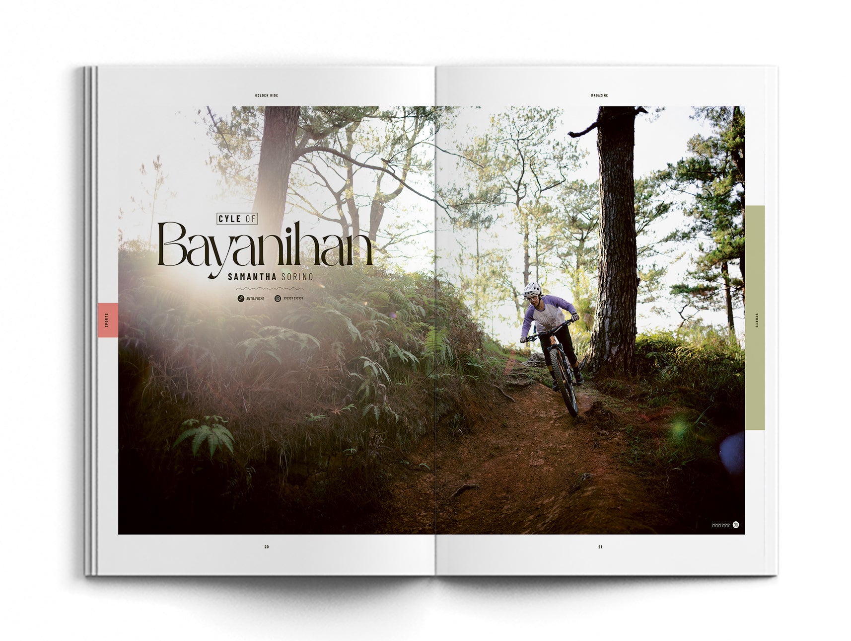 Issue 71 - Roots & Rocks