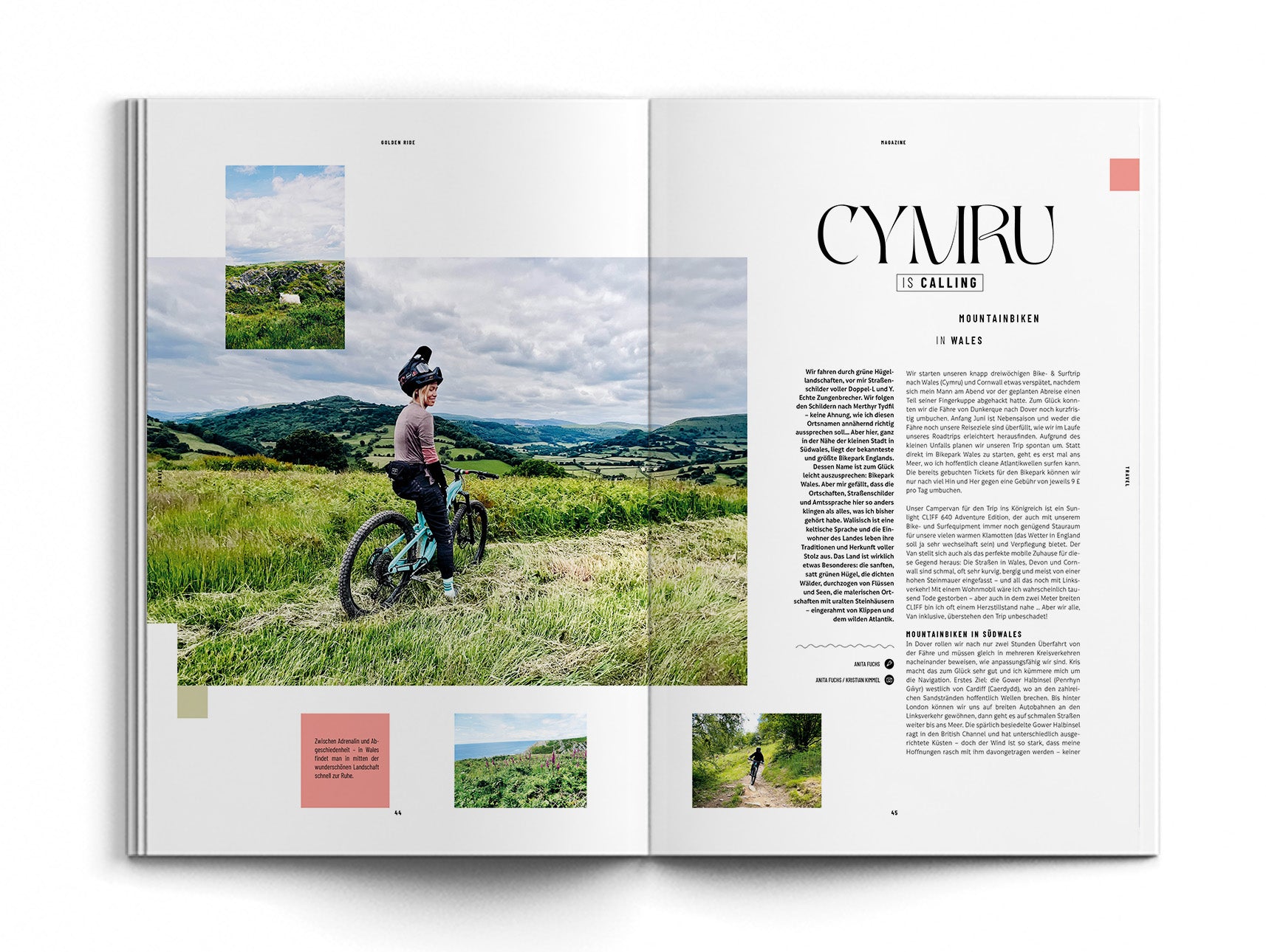 Ausgabe 71 – Roots & Rocks